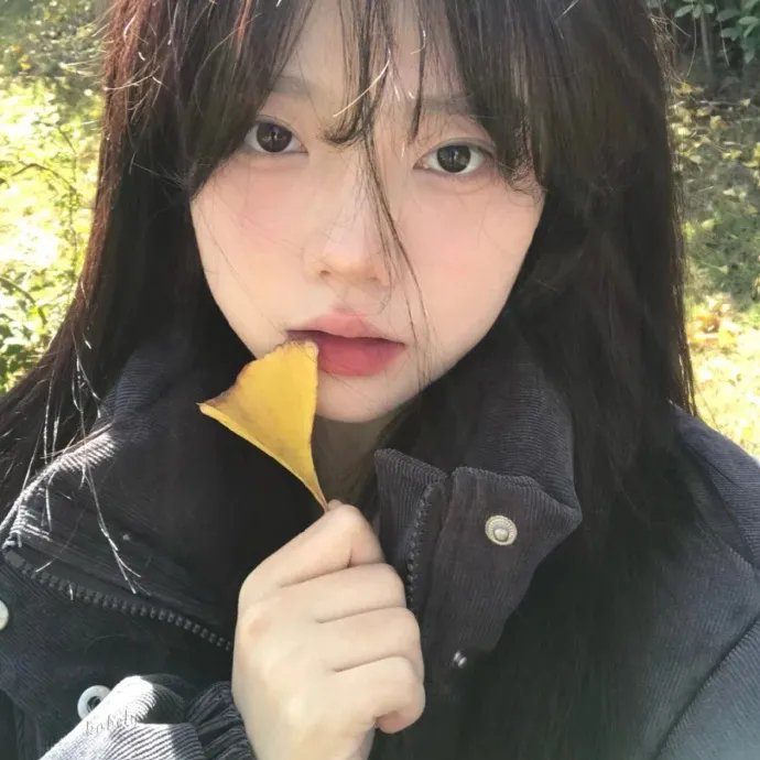随心所问